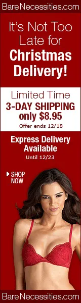160x600_HolidayDelivery09-1
