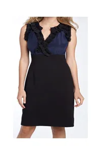 Taylor Dresses Two Tone Sleeveless Sheath Dress