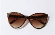 cat eye sunglasses cat eye sunglasses
