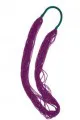 http://www.jdoqocy.com/click-1434713-10273706?sid=chan+luu+mardi+gras+bfotd+necklace&url=http%3A%2F%2Fwww.zappos.com%2Fn%2Fredirect.cgi%3Fq%3Dvz362648123z2%26zcj%3D1&cjsku=766119918055