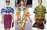 Fruit Trend Fruit Trend