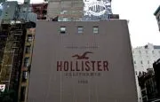 hollister lawsuit seagull