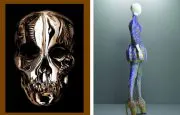 Alexander McQueen Savage Beauty