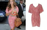 Denise Richards Alice + Olivia Gitana Button Front Dress