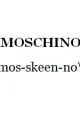 http://www.shefinds.com/2011/behold-your-milan-fashion-week-pronunciation-cheat-sheet/
