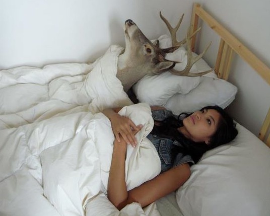 Deer-Head-in-Bed.jpg