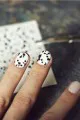 Dalmation Printed