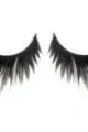 Spider Eyelashes (Adult)