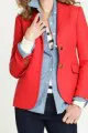 The Blazer