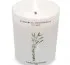 Carriere Freres candles