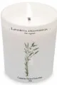 Carriere Freres candles