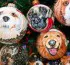Pet ornaments