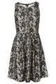 Topshop Bonded Lace Skater