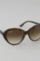 Ray-Ban Large Cat Eye Sunglasses