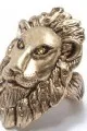 Rachel Roy Lion head