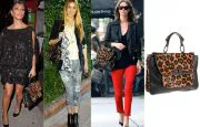 Rebecca Minkoff Covet Bag in Leopard Print