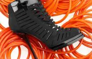 shoe shoe