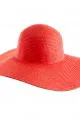 J.Crew Hat 1