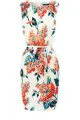 Oasis Silk Botanical Dress 130