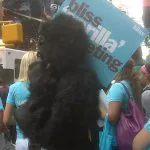 Bliss anti-hair gorilla Bliss anti-hair gorilla