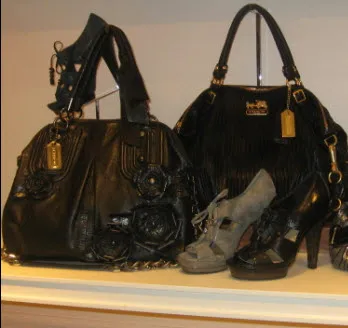 Coach Fall 2010 Preview