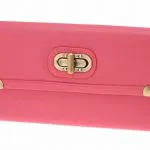 Aldo Freas Clutch Aldo Freas Clutch