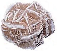Gypsum Desert Rose MIneral