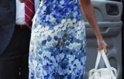 Michelle Obama Halloween Costumes - Michelle Obama Blue Floral Dress