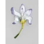 alexis-bittar-long-stemmed-iris-brooch alexis-bittar-long-stemmed-iris-brooch