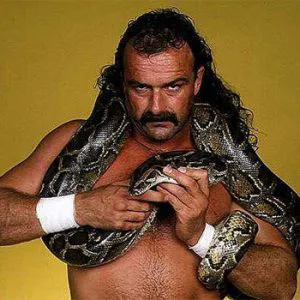 jake-the-snake-roberts
