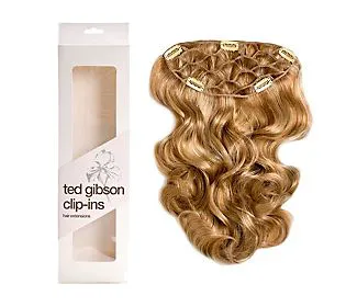 ted-gibson