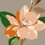 vivienne westwood wallpaper