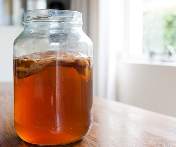 kombucha