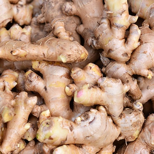 <h3>What The Nature’s Base Turmeric & Ginger Supplement Does</h3> best weight loss supplement turmeric ginger apple cider vinegar