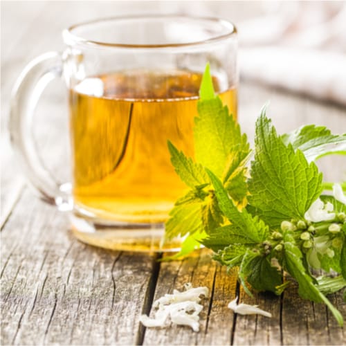 nettle tea