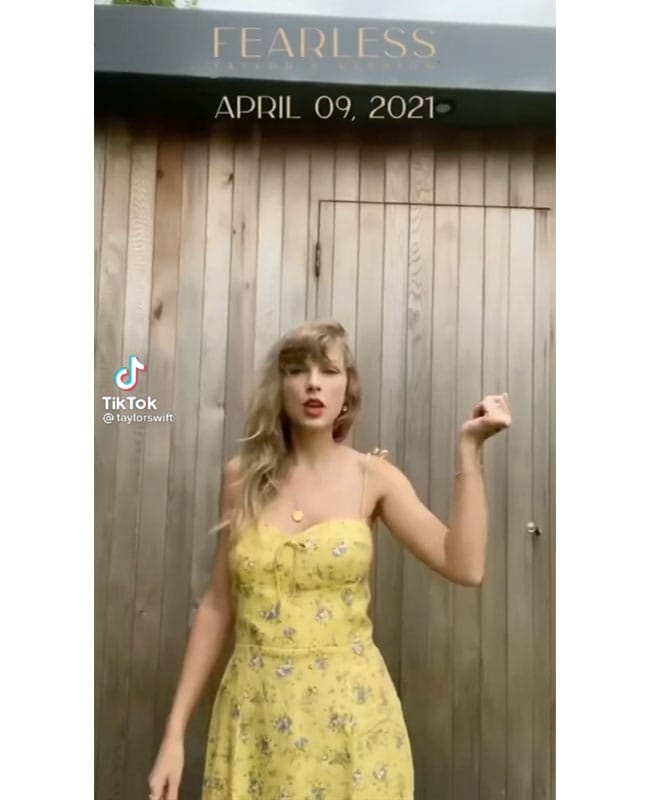 taylor swift reformation dress