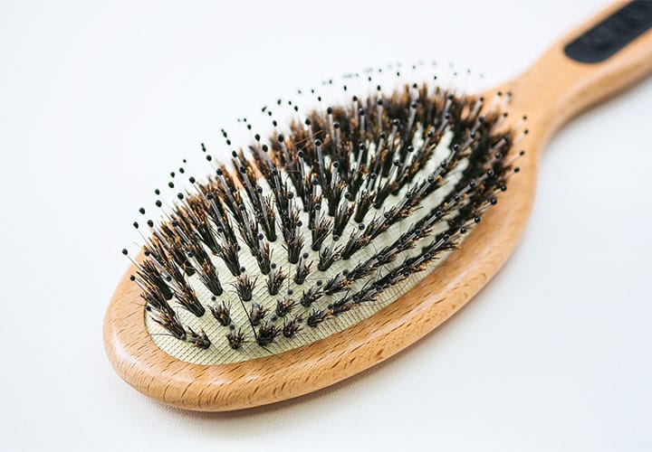 Boar bristle brush.