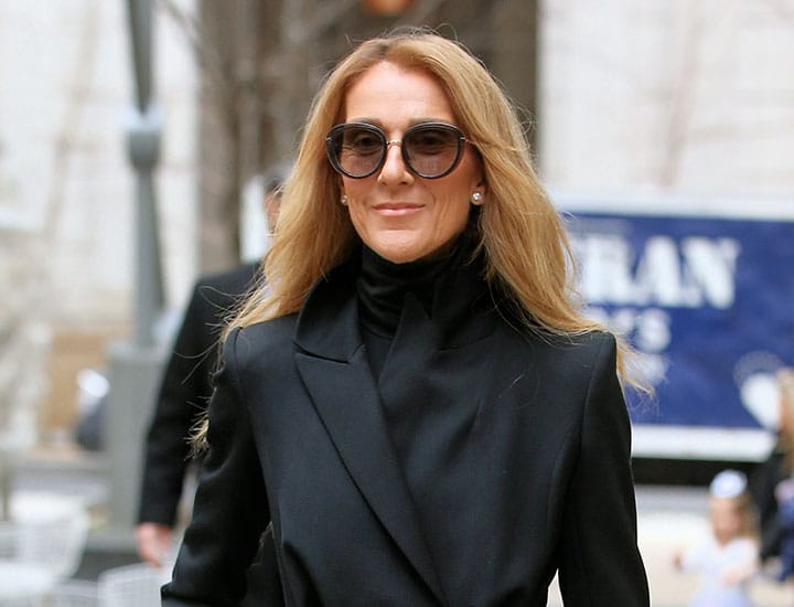 Celine Dion before concert New York
