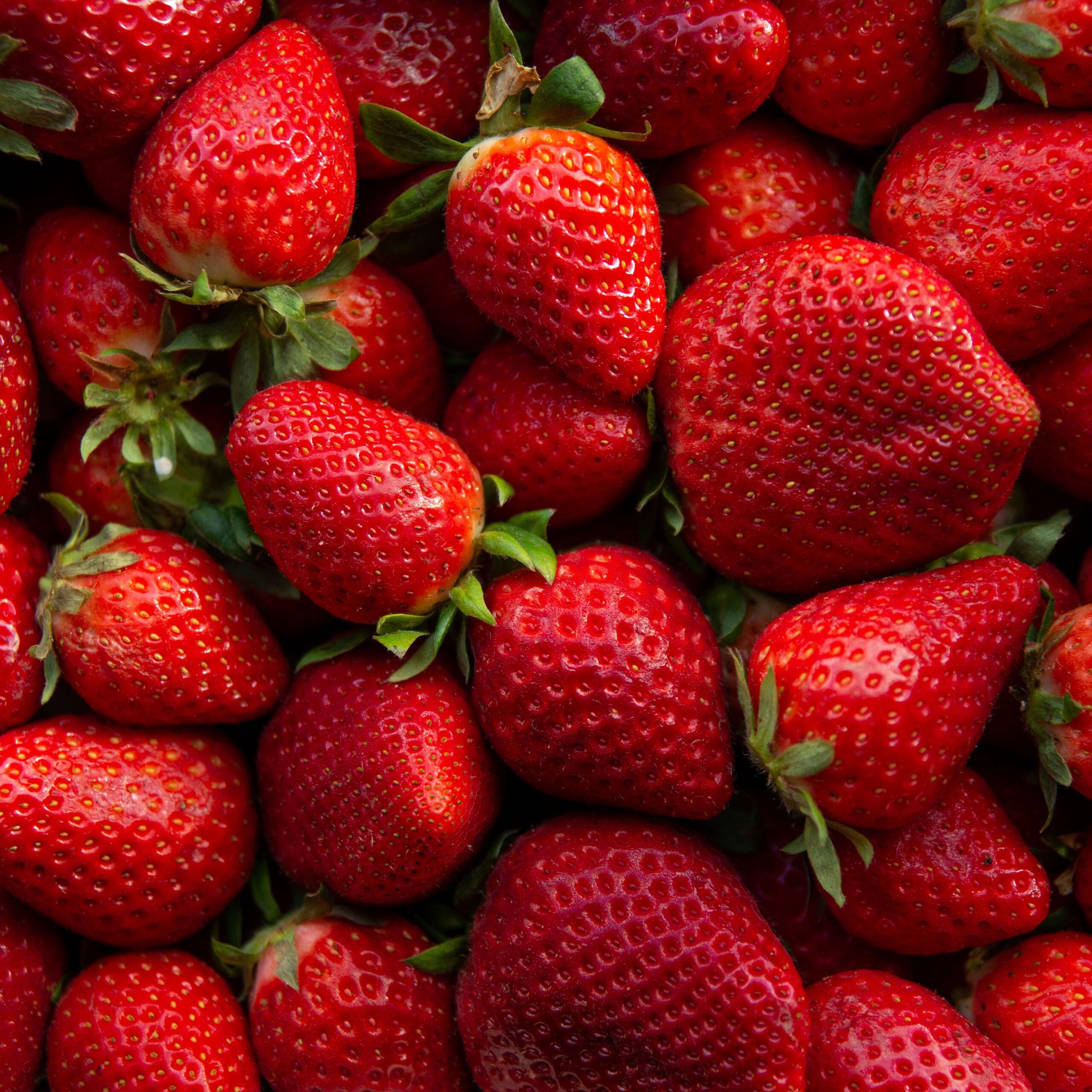 close-up of strawberries