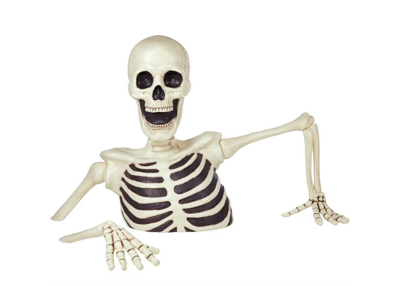 skeleton