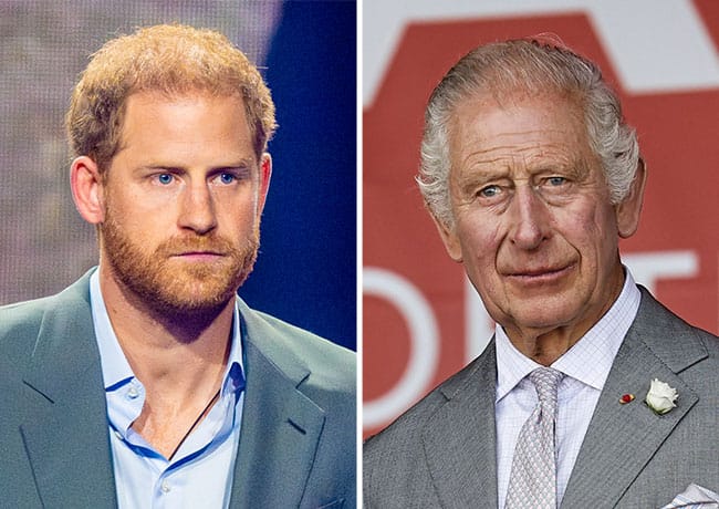 king charles prince harry