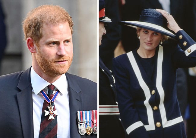 prince harry princess diana