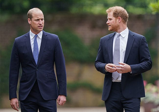 prince william prince harry