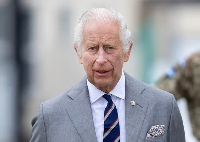 King Charles grey suit