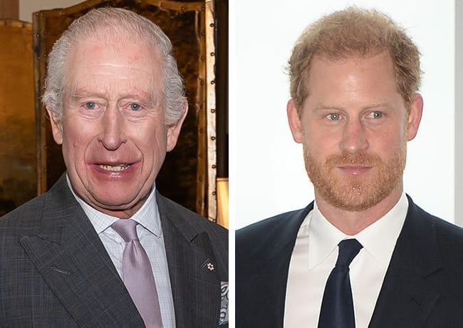 King Charles and Prince Harry