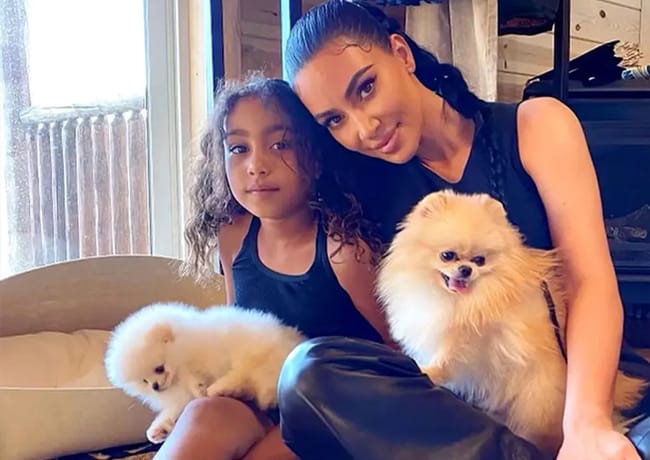 Kim Kardashian and North West with dogs