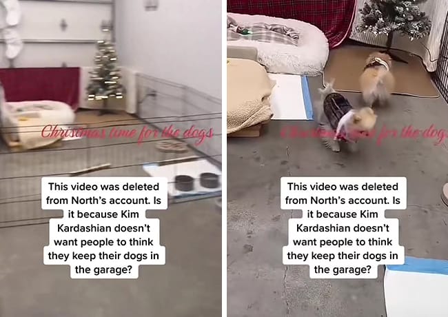 needthedeets Kim Kardashian story dogs in garage