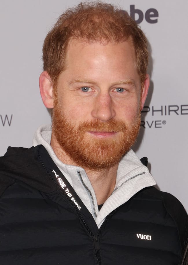 Prince Harry Sundance Film Festival