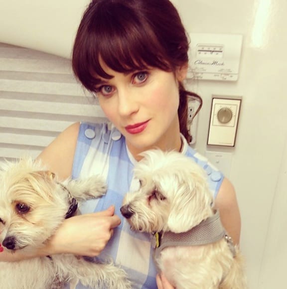 Zooey Deschanel zooey deschanel blonde