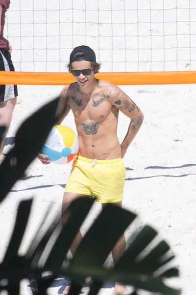 harry styles beach nipples